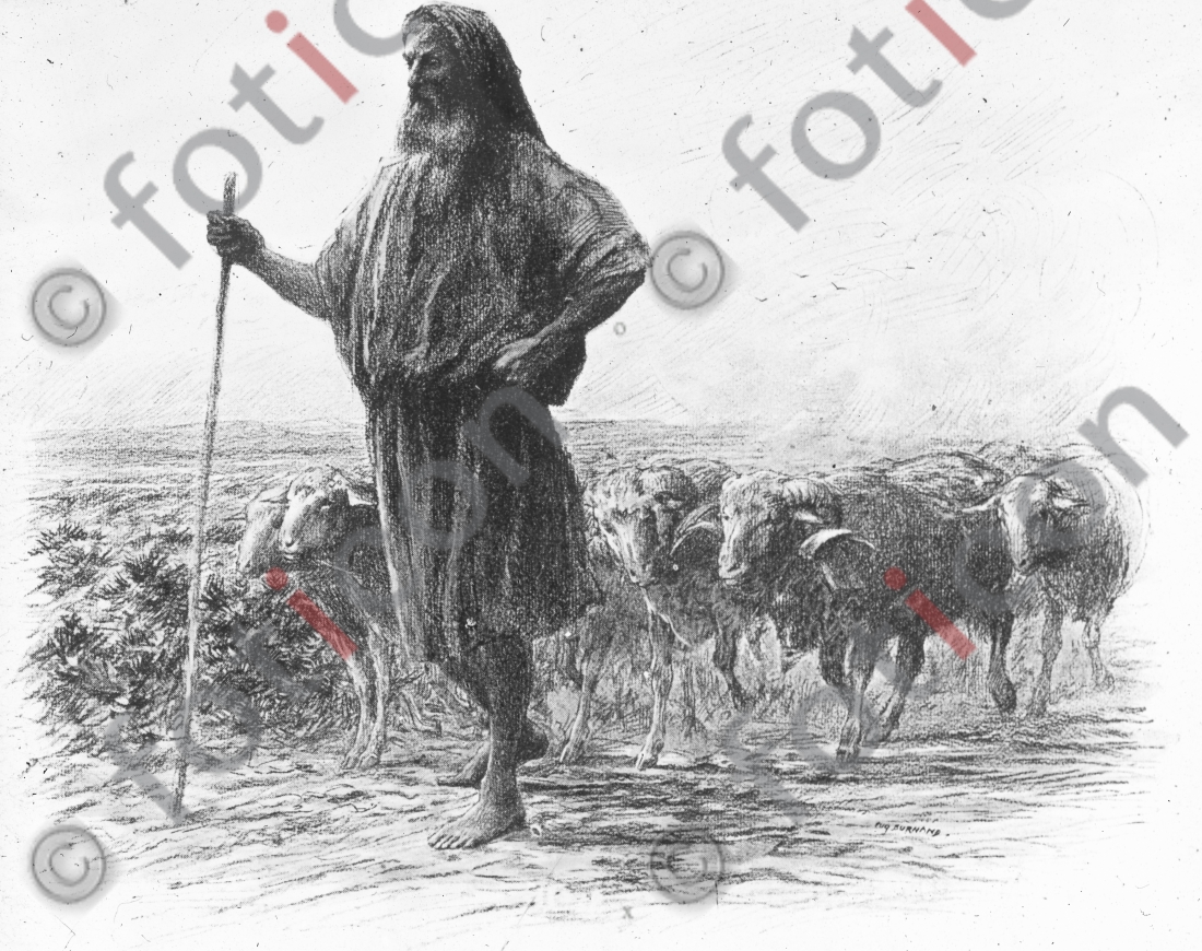  | A shepherd with his flock - Foto foticon-simon-132047-sw.jpg | foticon.de - Bilddatenbank für Motive aus Geschichte und Kultur